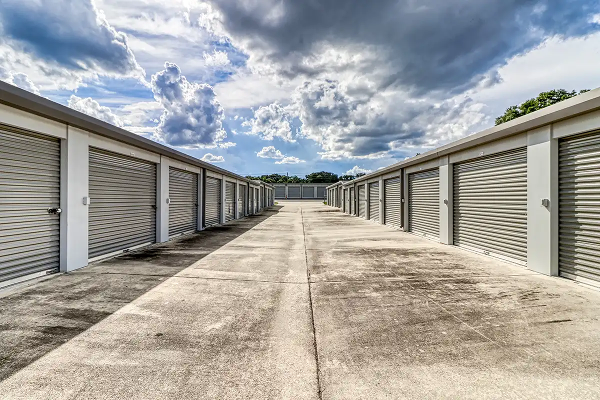 mt dora 5