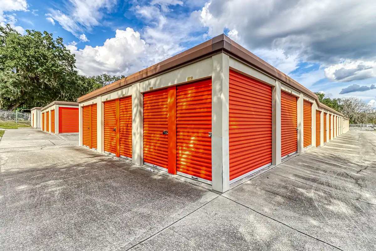 mt dora 7